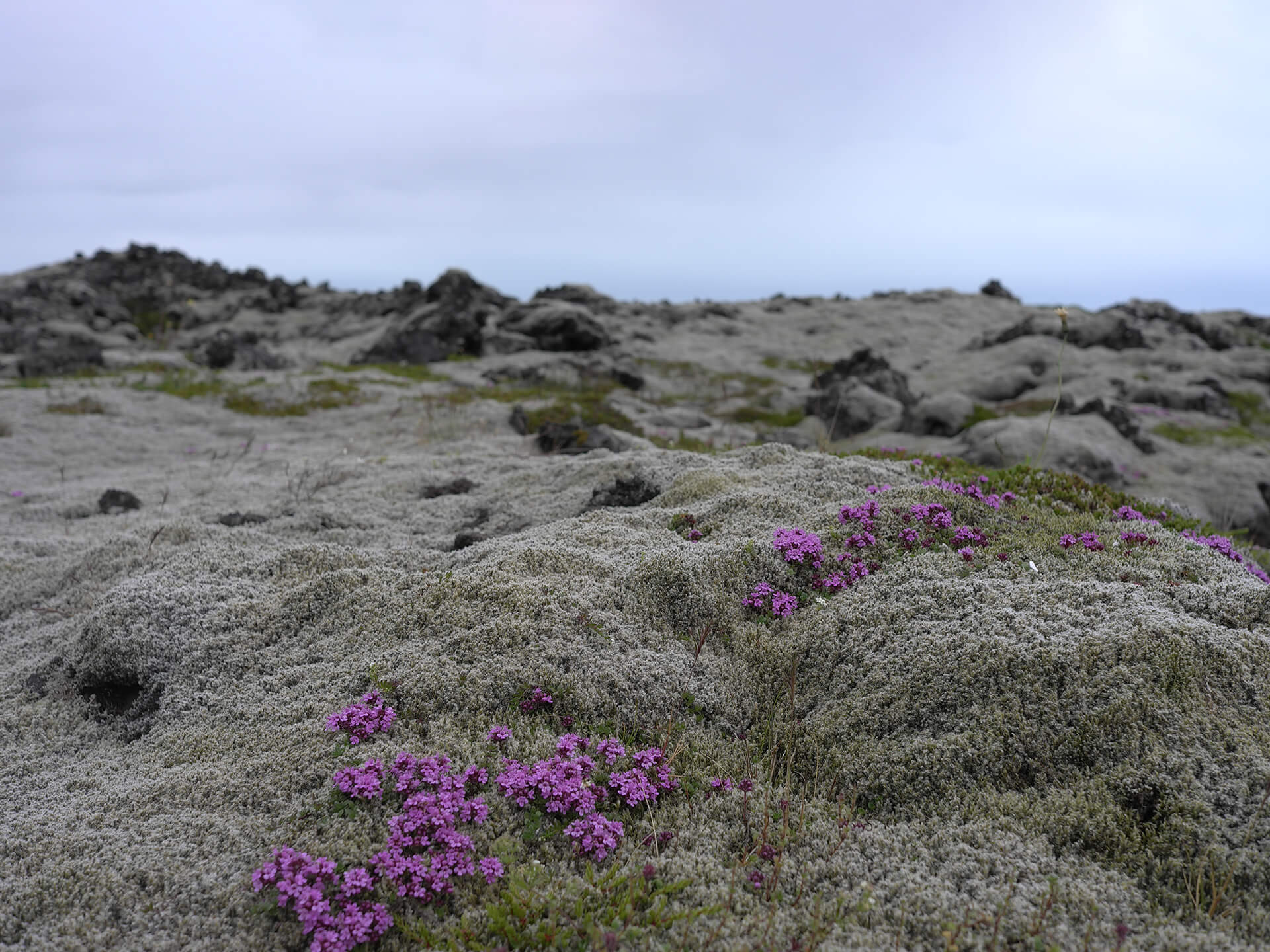 Daniel-Hebenstreit-Urlaub-2-web-1